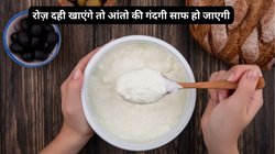 Curd Benefits: गर्मी में 1 महीने तक दही का सेवन करने से सेहत पर कैसा होता है असर, एक्सपर्ट से जानिए