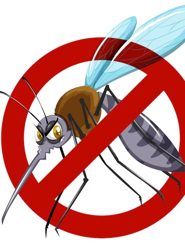 Monsoon Season Dengue Cases Prevention, Causes Of Dengue During Monsoon, Preventing Dengue In Rainy Season,