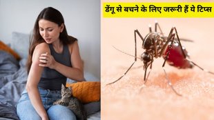 Dengue । Dengue Symptoms । Dengue Prevention Tips