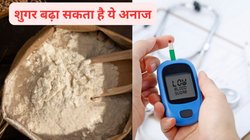 डायबिटीज मरीज 1 दिन में 80% खाते हैं फीका स्टार्च, चावल और रोटी का कॉम्बिनेशन खतरनाक, जानिए Diabetes Friendly डाइट जो शुगर रखें नॉर्मल