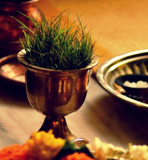 Durva grass for Ganesha