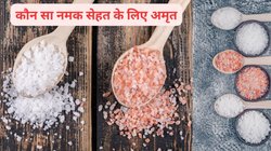 Types of Salts: एक नहीं बल्कि 12 तरह के होते हैं नमक, पर आपकी सेहत के लिए कौन सा है सबसे अच्छा, एक्सपर्ट से जानें कौन सा Salt है संजीवनी