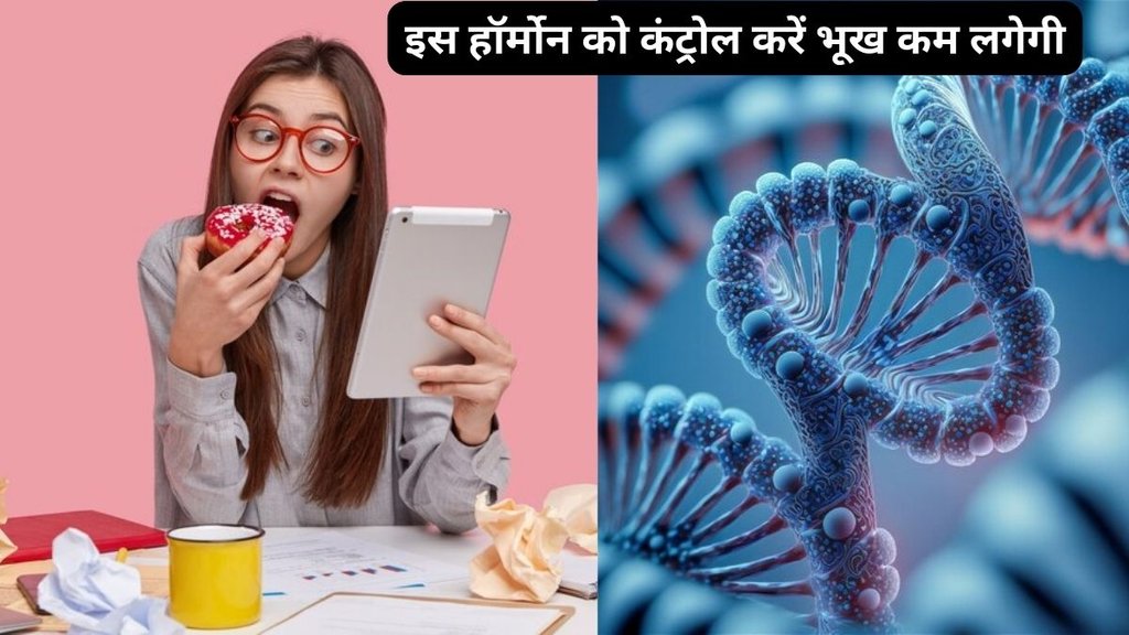 hunger control tips, how to control hunger, excess hunger reason,what illness causes constant hunger,How to control hunger,natural ways to suppress appetite,