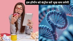 भूख को बर्दाश्त नहीं कर पाते हैं, बार-बार खाने के बाद भी फूड क्रेविंग होती है, इन 4 खास तरीकों से करें हंगर कंट्रोल