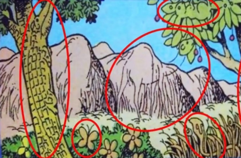 Internet Viral Puzzles