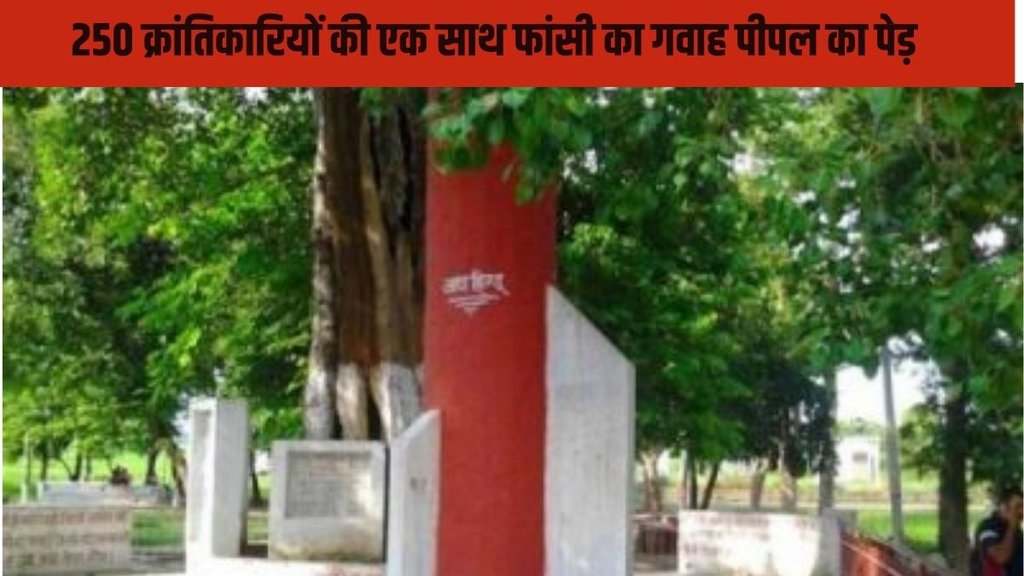 independence day special | basti | British government |