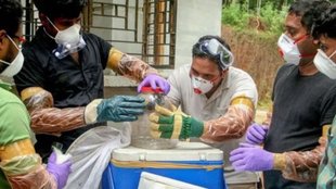 kerala | nipah virus | child died |