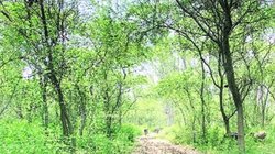 दुनिया मेरे आगे: भाव से होता है अंतरआत्मा का पोषण, अच्छे विचारों से तय होता है जीवन का रहस्य