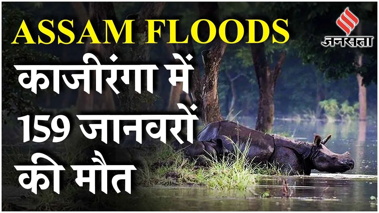 Assam Floods: बाढ़ से पिछले 24 घंटों में पांच और लोगों की मौत, 159 जानवर भी मारे गए | Monsoon
