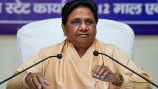 bsp, vidhan sabha chunav, akash anand,