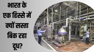 milk price| amul| mother dairy