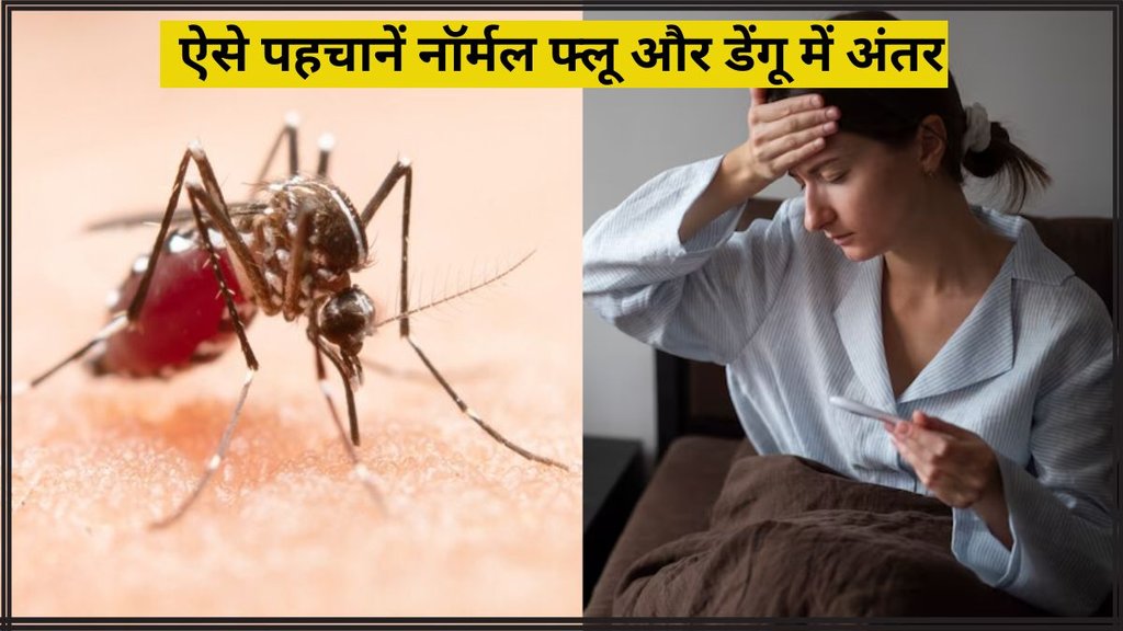 Monsoon Fever vs Dengue । monsoon fever symptoms । dengue symptoms