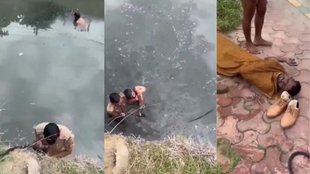 noida | up police | uttar pradesh |