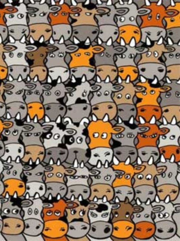 optical illusions test new