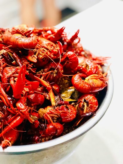 Edible insects Singapore