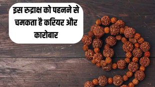 Seven Mukhi Rudraksh, Rudraksh