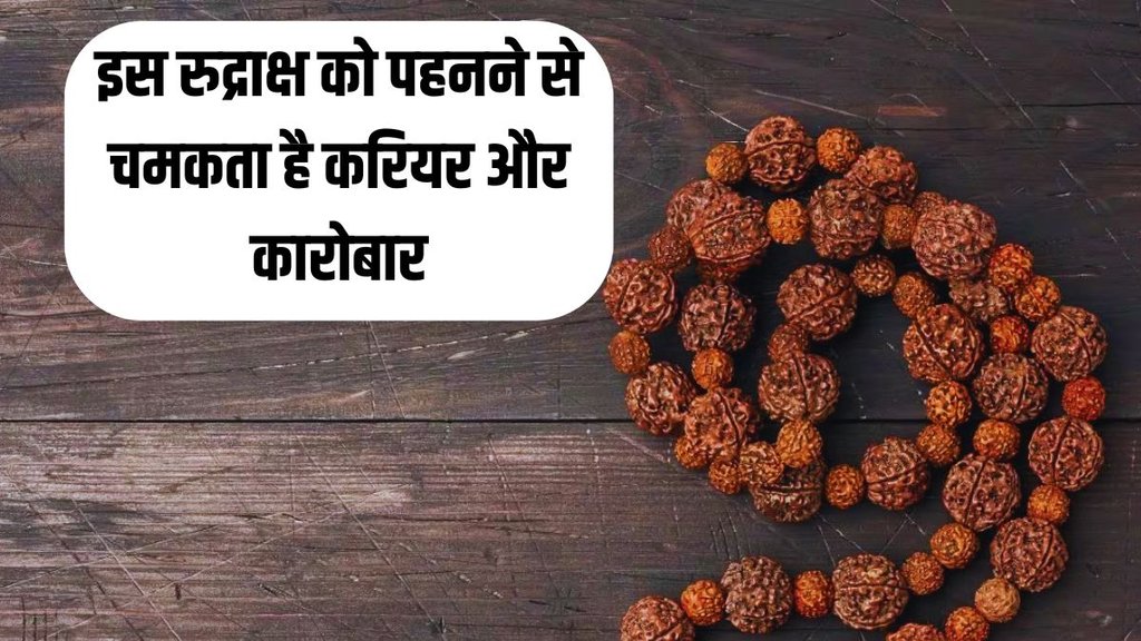 Seven Mukhi Rudraksh, Rudraksh