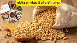 Soybean Effect: अगर 1 महीने तक सोयाबीन का सेवन किया जाए तो सेहत पर कैसा होता है असर, एक्सपर्ट से जानिए