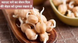 Sprouted Chana: एक महीने तक 100 ग्राम अंकुरित चने का सेवन किया जाए तो बॉडी पर कैसा दिखता है असर, जानिए