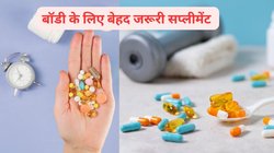 Supplements For Best Health: आपकी बॉडी के लिए रीढ़ की हड्डी साबित हो सकते हैं ये 4 सप्लीमेंट, लिस्ट देख चौंक जाएंगे आप, ये हैं फूड सोर्स
