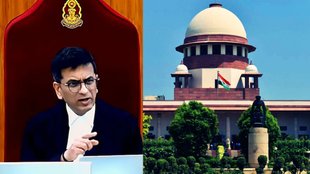 CJI DY Chandrachud, CJI IPL advocate, CJI dy chandrachud news
