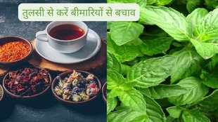 tulsi Kadha Monsoon Benefits,Tulsi Kadha,respiratory issues,monsoon,immune booster,holy basil,health benefits,