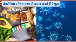 Zink Rich Diet: बरसात में वायरस और बैक्टीरिया को दूर रखेंगे ये 4 जिंक रिच फूड, तुरंत करें डाइट में शामिल