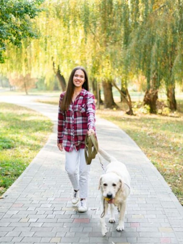 Walk benefits, improve digestion, improve health, how to improve health, how to improve digestion, 10-minute walk benefits after meal, खाने के बाद वॉक करने के फायदे