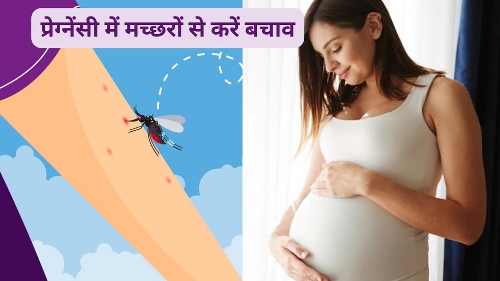 zika Virus , Zika Virus , Zika Virus News , Zika Virus Latest News , Zika Virus in Pune , Pune Zika Virus , Zika virus infection cause, Zika virus infection in pregnant women