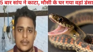 snake bite 5 time to a boy, Fatehpur News