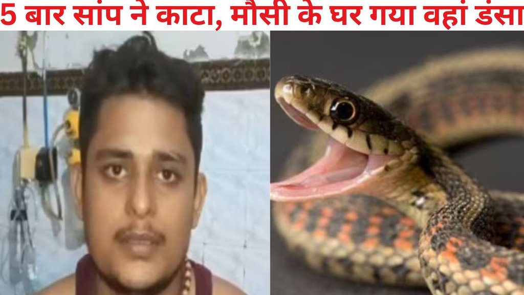 snake bite 5 time to a boy, Fatehpur News