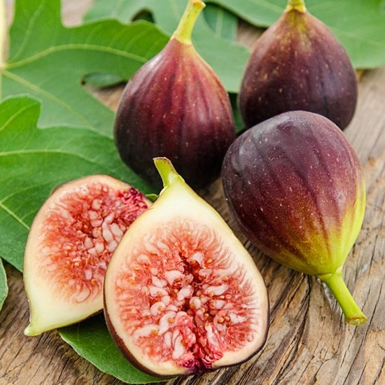 Milk with figs for weight loss: दूध को अंजीर में भिगोकर रख दें और फिर इसे खा लें। ये मेटाबोलिज्म को तेज करने और बैली फैट बर्न करने में मददगार है। ये दोनों मिलकर वेट लॉस में तेजी लाते हैं और मोटापा कम करने में मदद करते हैं। (P.C. Freepik)