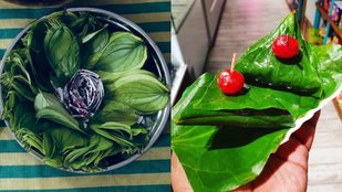 Ayurvedic Benefits of sweet Betel Leaves
