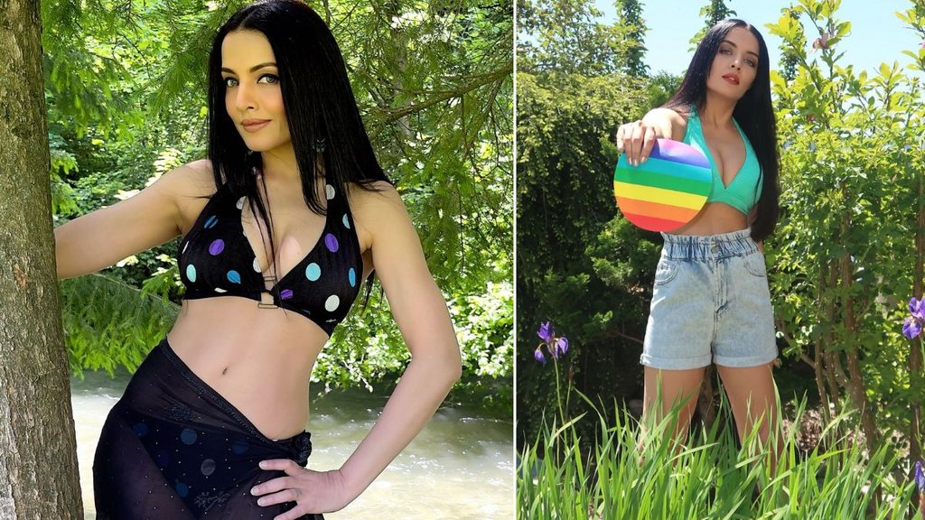 Bollywood Scandal, Celina Jaitly, Celina Jaitly harassment Kissa, Celina Jaitly Victim