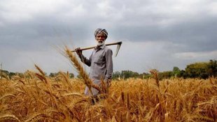 Kisan News, Farmers News, Kisan ki Baat