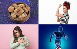 dry fruits Benefits