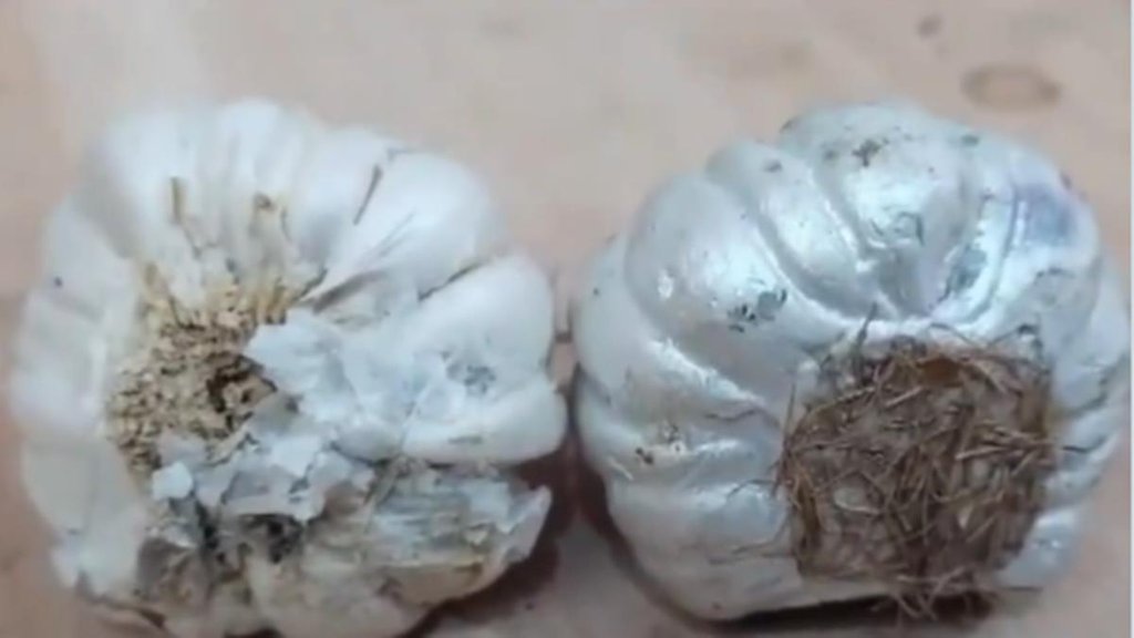 Garlic Viral video, Fake Garlic, Maharashtra video viral