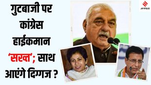 Haryana Congress Bhupinder Singh Hooda Kumari Selja Randeep Surjewala