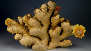 Health Benefits of Roasted Ginger