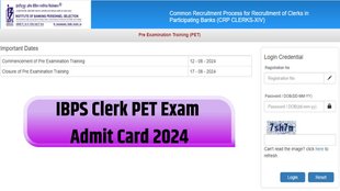 IBPS PET Exam 2024, Admit Card,