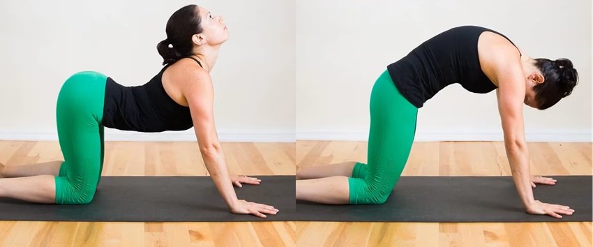 Marjaryasana
