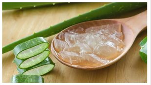 aloe vera oil for hair fall