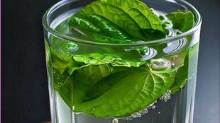 betel leaf water recipe benefits