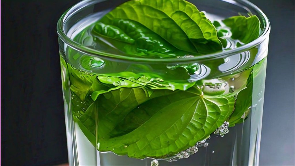 betel leaf water recipe benefits