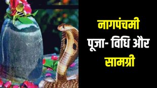Nag Panchami 2024, Nag Panchami puja vidhi, Nag Panchami puja muhurat