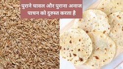 क्या पुराने चावल और पुराने अनाज की रोटी का सेवन करना सुरक्षित है? क्या ये ग्रेन पाचन को दुरुस्त करता है? जानिए सच्चाई