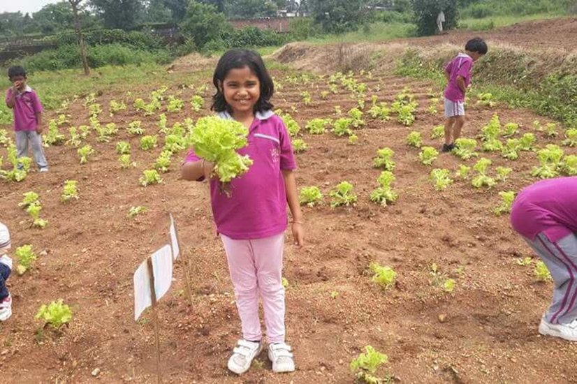 Ziva Singh Dhoni school
