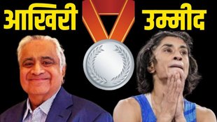 Paris Olympics, Vinesh Phogat, Harish Salve