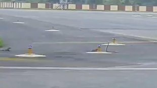 Patna Airport, mongoose fight, Viral Video,