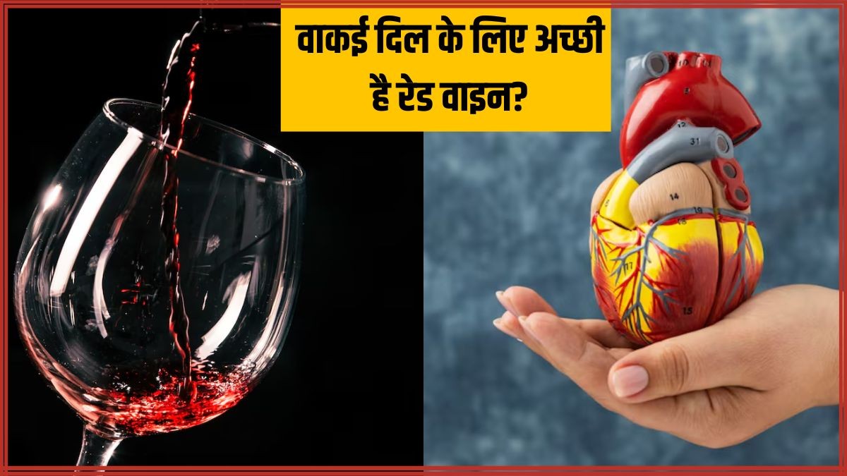 क्या वाकई वाइन पीना दिल के लिए फायदेमंद है? जानें